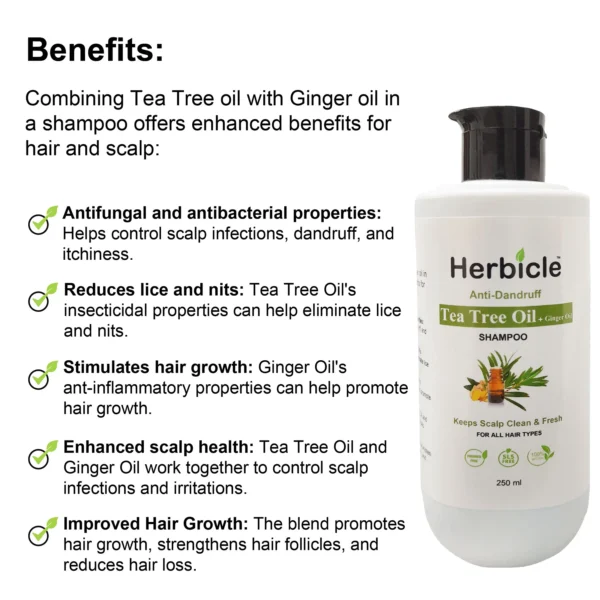 Herbicle Tea Tree Oil + Ginger Oil Shampoo For Anti Dandruff, Keep Scalp Clean & Fresh | 100% natural | For All Hair Types | 250 ml - Image 5