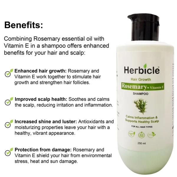 Herbicle Rosemary + Vitamin E Shampoo For Hair Growth, Calms Inflammation & Supports Healthy Scalp | 100% natural | For All Hair Types | 250 ml - Image 5